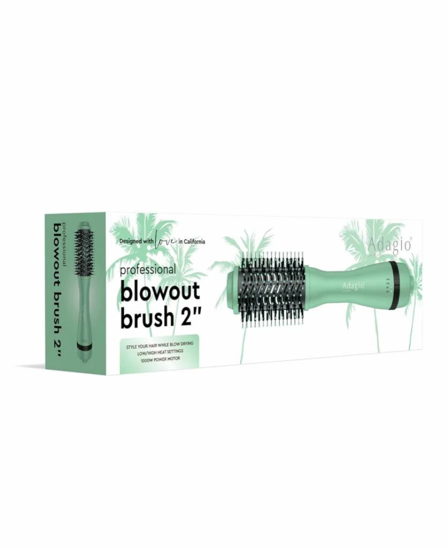 Adagio California 2-In-1 Hot Air Brush Styler & Dryer - Negative Ion Round Hair Dryer Brush with Straightener, 2-Inch Seafoam Green, Styling Tool for Women